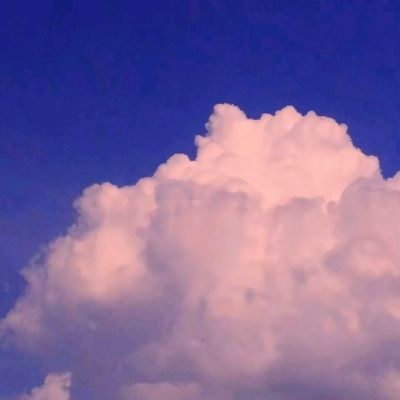 天博网页版入口官网